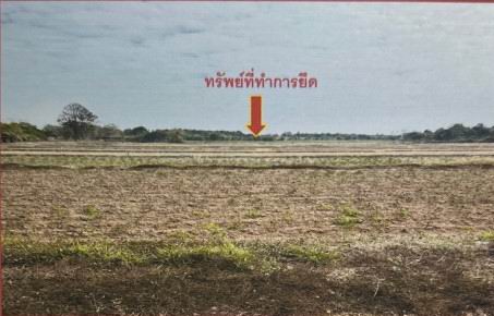 รูปที่ดินว่างเปล่า หนองบัว หนองกุงศรี กาฬสินธุ์