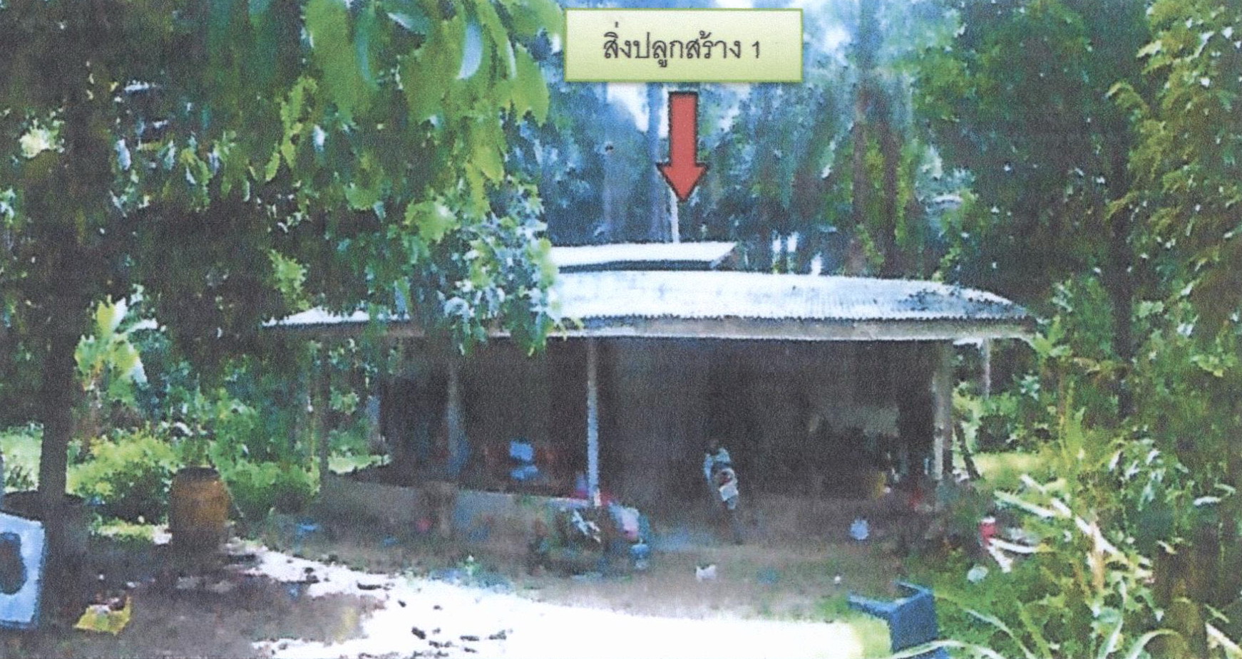 รูปที่ดินพร้อมสิ่งปลูกสร้าง ตะโก ทุ่งตะโก ชุมพร
