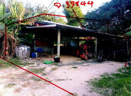 รูปที่ดินพร้อมสิ่งปลูกสร้าง สตึก สตึก บุรีรัมย์