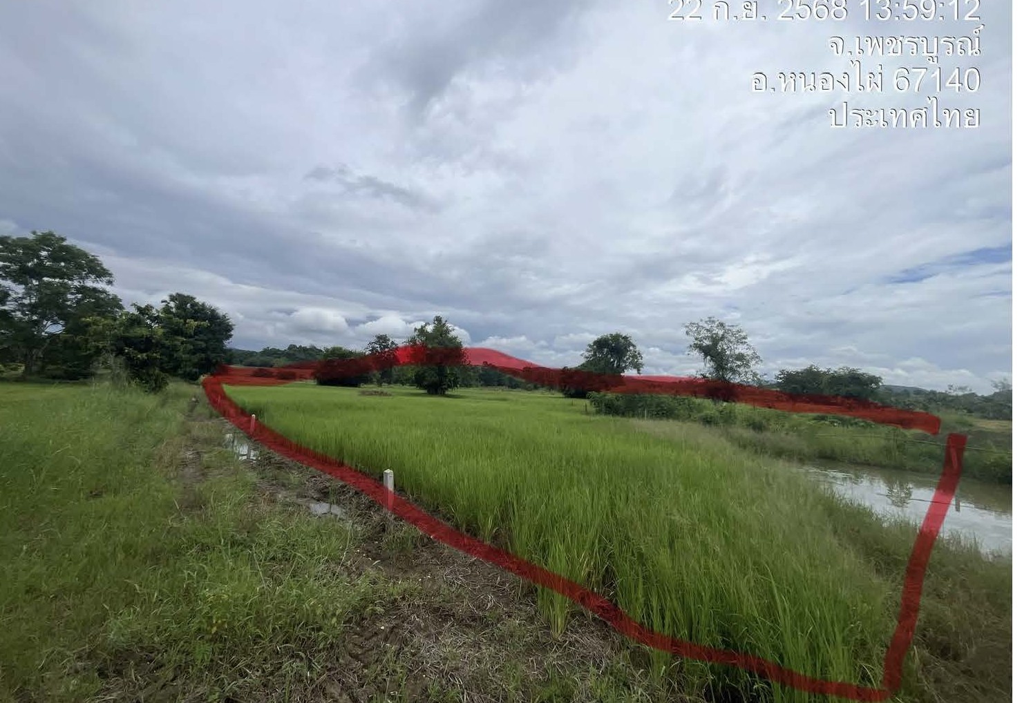 รูปที่ดินว่างเปล่า ท่าด้วง หนองไผ่ เพชรบูรณ์