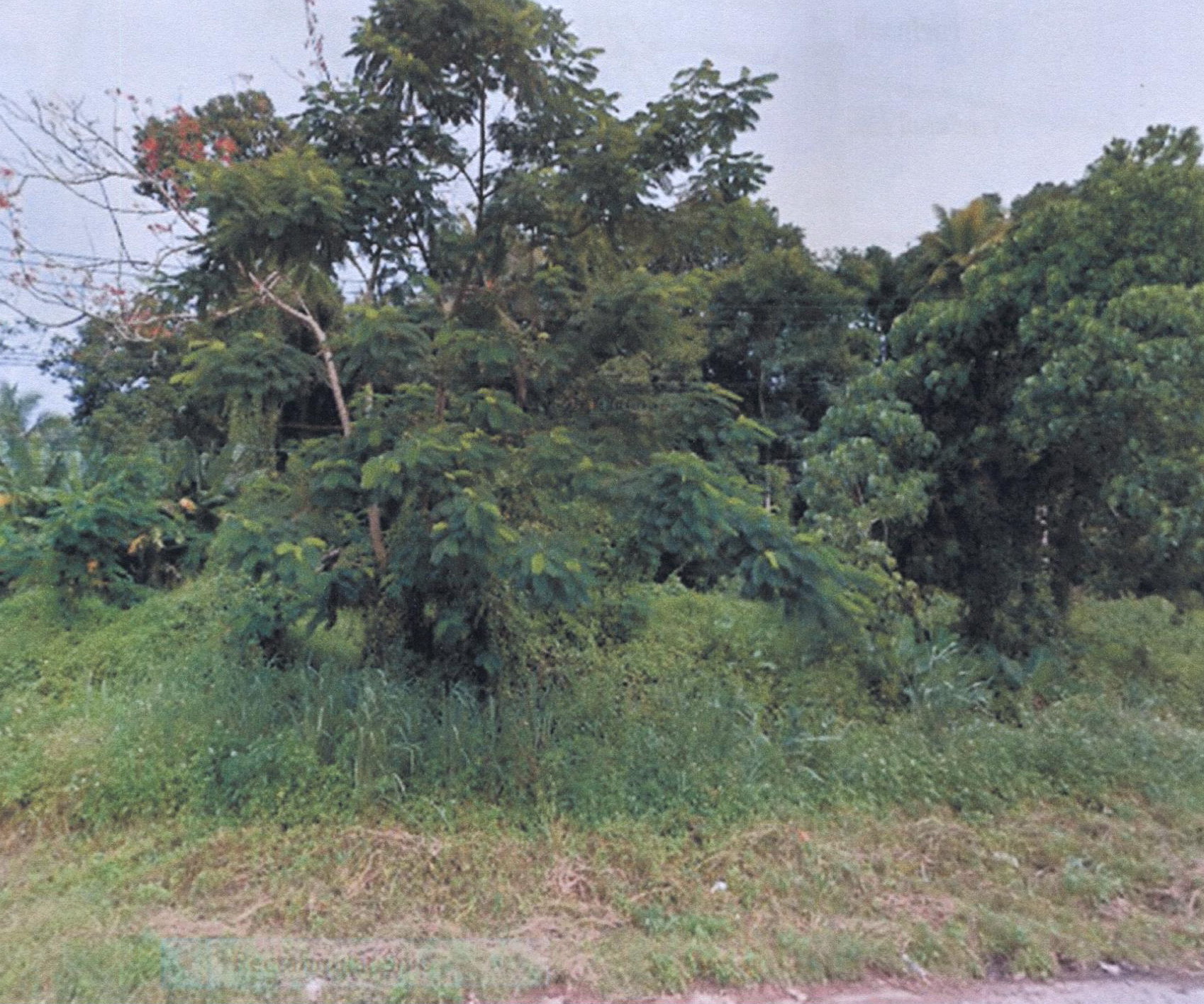 รูปที่ดินว่างเปล่า เลม็ด ไชยา สุราษฎร์ธานี
