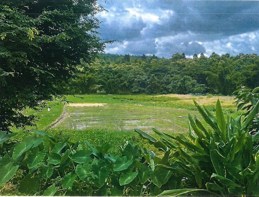 รูปที่ดินว่างเปล่า ช่างเคิ่ง แม่แจ่ม เชียงใหม่