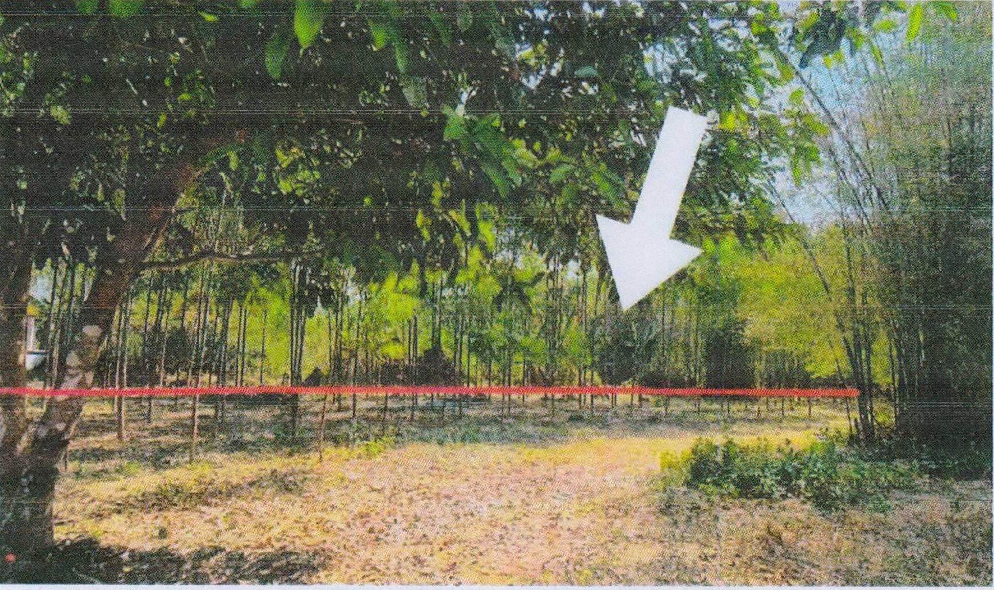 รูปที่ดินว่างเปล่า เนินหอม เมืองปราจีนบุรี ปราจีนบุรี