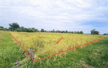 รูปที่ดินว่างเปล่า ลำพาน เมืองกาฬสินธุ์ กาฬสินธุ์
