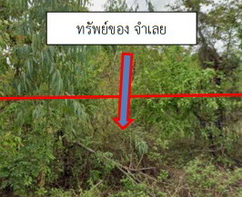 รูปที่ดินว่างเปล่า ม่วง บ้านม่วง สกลนคร