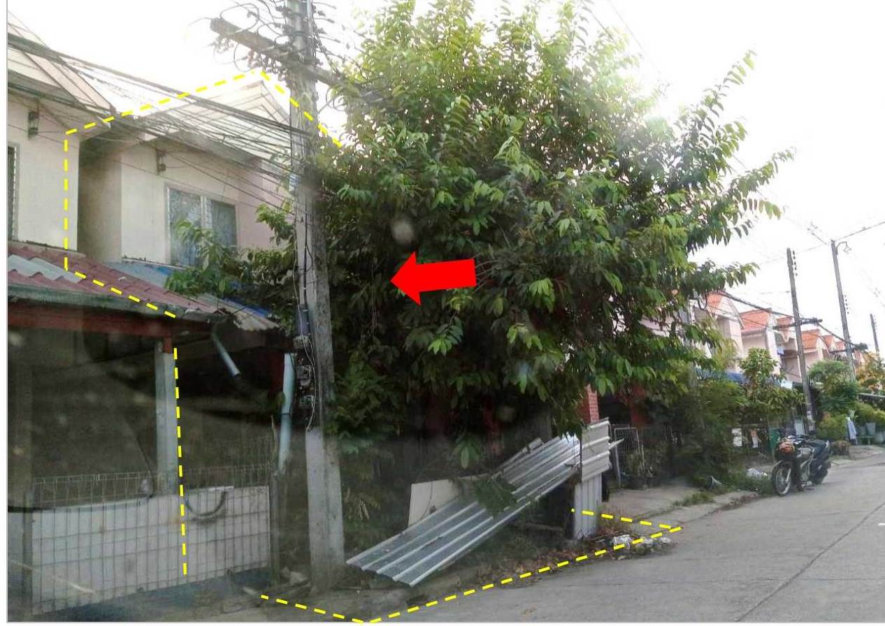 รูปที่ดินพร้อมสิ่งปลูกสร้าง หนองบัว เมืองหนองบัวลำภู หนองบัวลำภู