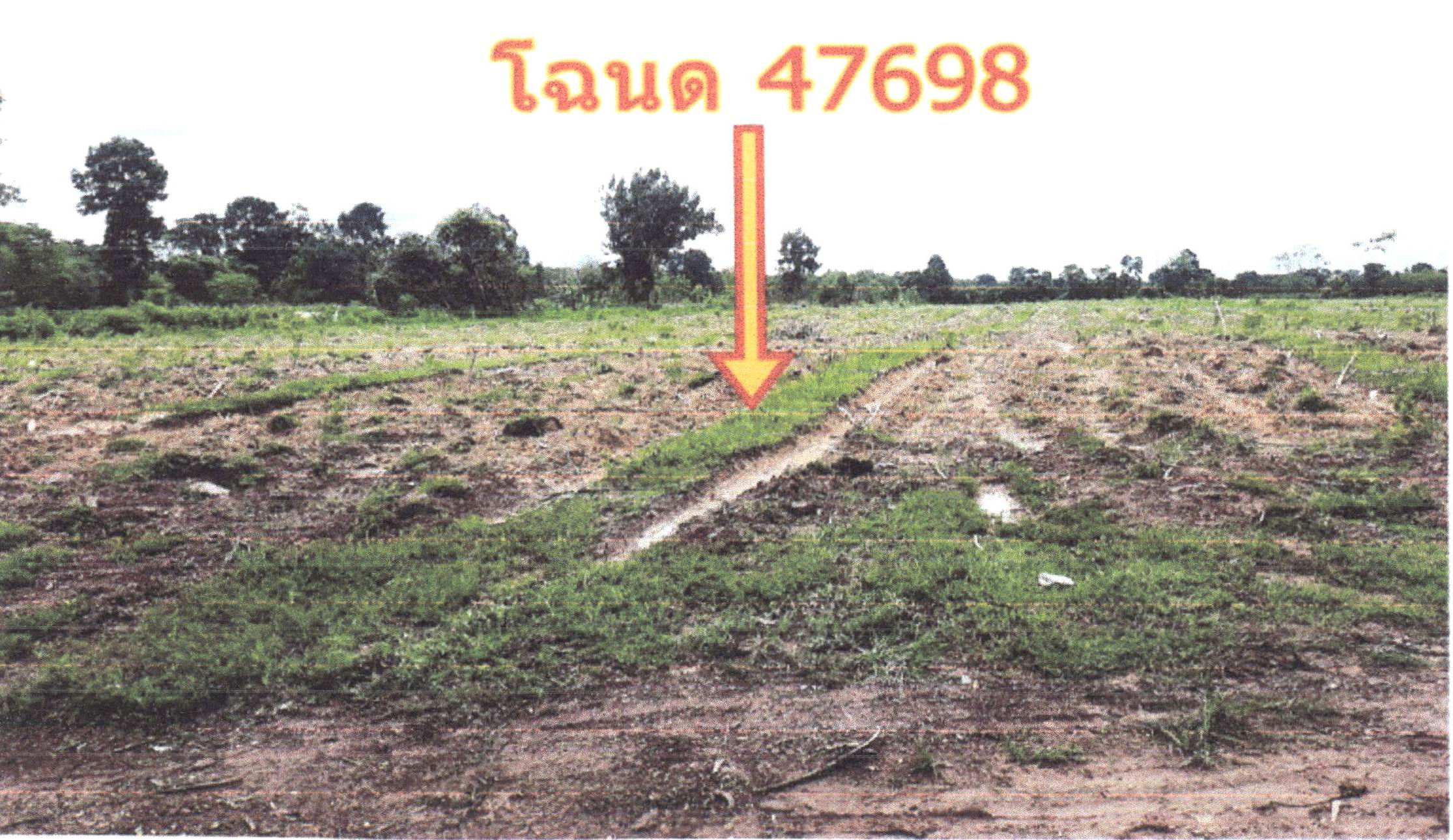 รูปที่ดินว่างเปล่า บางทรายใหญ่ เมืองมุกดาหาร มุกดาหาร