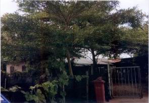 รูปที่ดินพร้อมสิ่งปลูกสร้าง บ้านลาน บ้านไผ่ ขอนแก่น