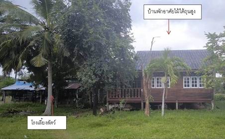รูปที่ดินพร้อมสิ่งปลูกสร้าง โคกสูง โคกสูง สระแก้ว
