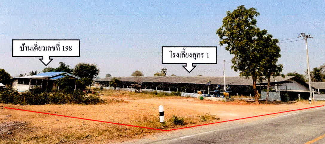 รูปที่ดินพร้อมสิ่งปลูกสร้าง วังไผ่ ห้วยกระเจา กาญจนบุรี