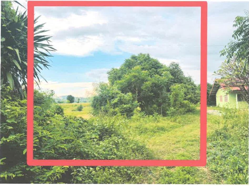 รูปที่ดินว่างเปล่า หนองโอ่ง อู่ทอง สุพรรณบุรี