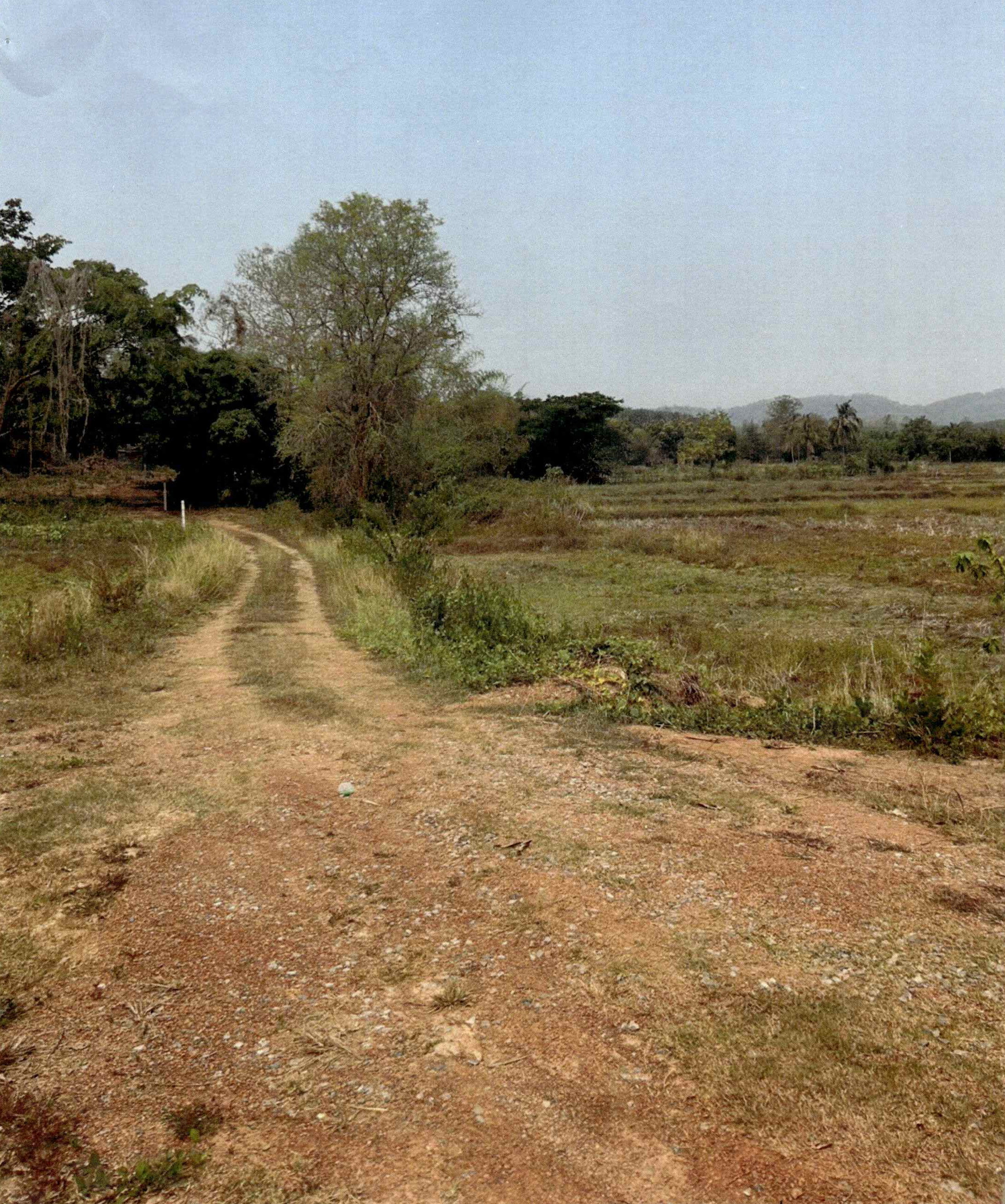 รูปที่ดินว่างเปล่า เชียงคาน เชียงคาน เลย