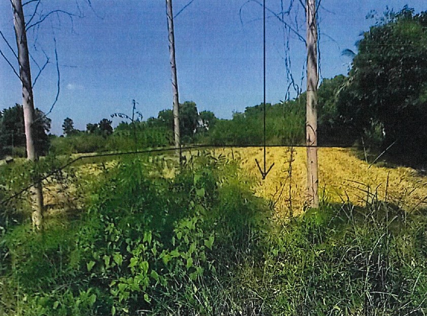 รูปที่ดินว่างเปล่า ทับสวาย ห้วยแถลง นครราชสีมา