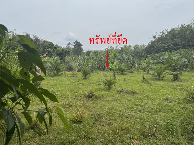 รูปที่ดินว่างเปล่า สากอ สุไหงปาดี นราธิวาส