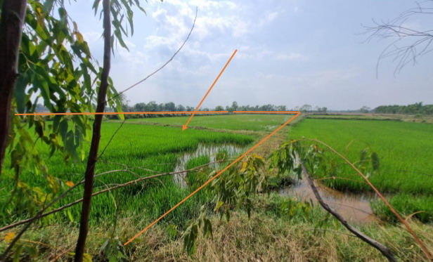 รูปที่ดินว่างเปล่า เชียงเครือ เมืองสกลนคร สกลนคร