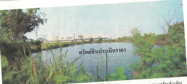 รูปที่ดินว่างเปล่า ลำเหย ดอนตูม นครปฐม