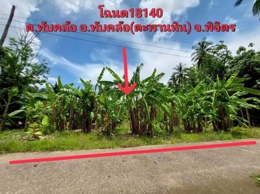 รูปที่ดินว่างเปล่า ทับคล้อ ทับคล้อ พิจิตร