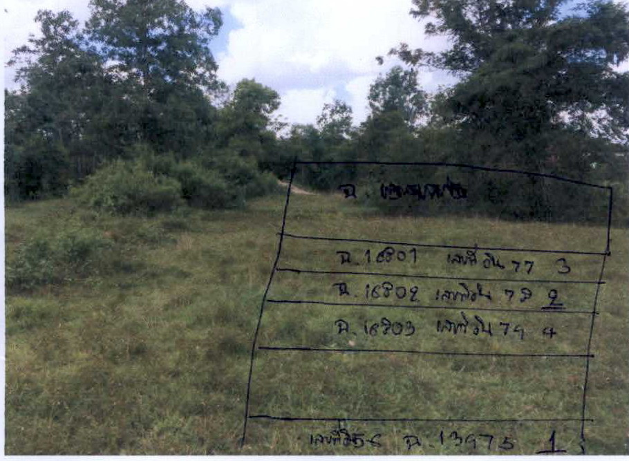 รูปที่ดินว่างเปล่า แม่ขรี ตะโหมด พัทลุง