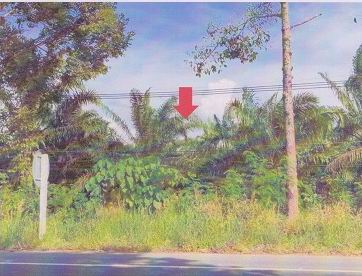 รูปที่ดินว่างเปล่า เขาไม้แก้ว สิเกา ตรัง
