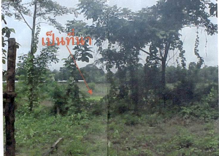 รูปที่ดินว่างเปล่า นิคมพัฒนา เมืองลำปาง ลำปาง