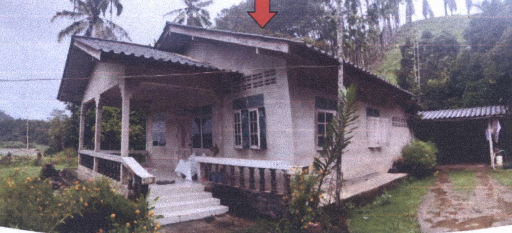 รูปที่ดินพร้อมสิ่งปลูกสร้าง ปากทรง พะโต๊ะ ชุมพร