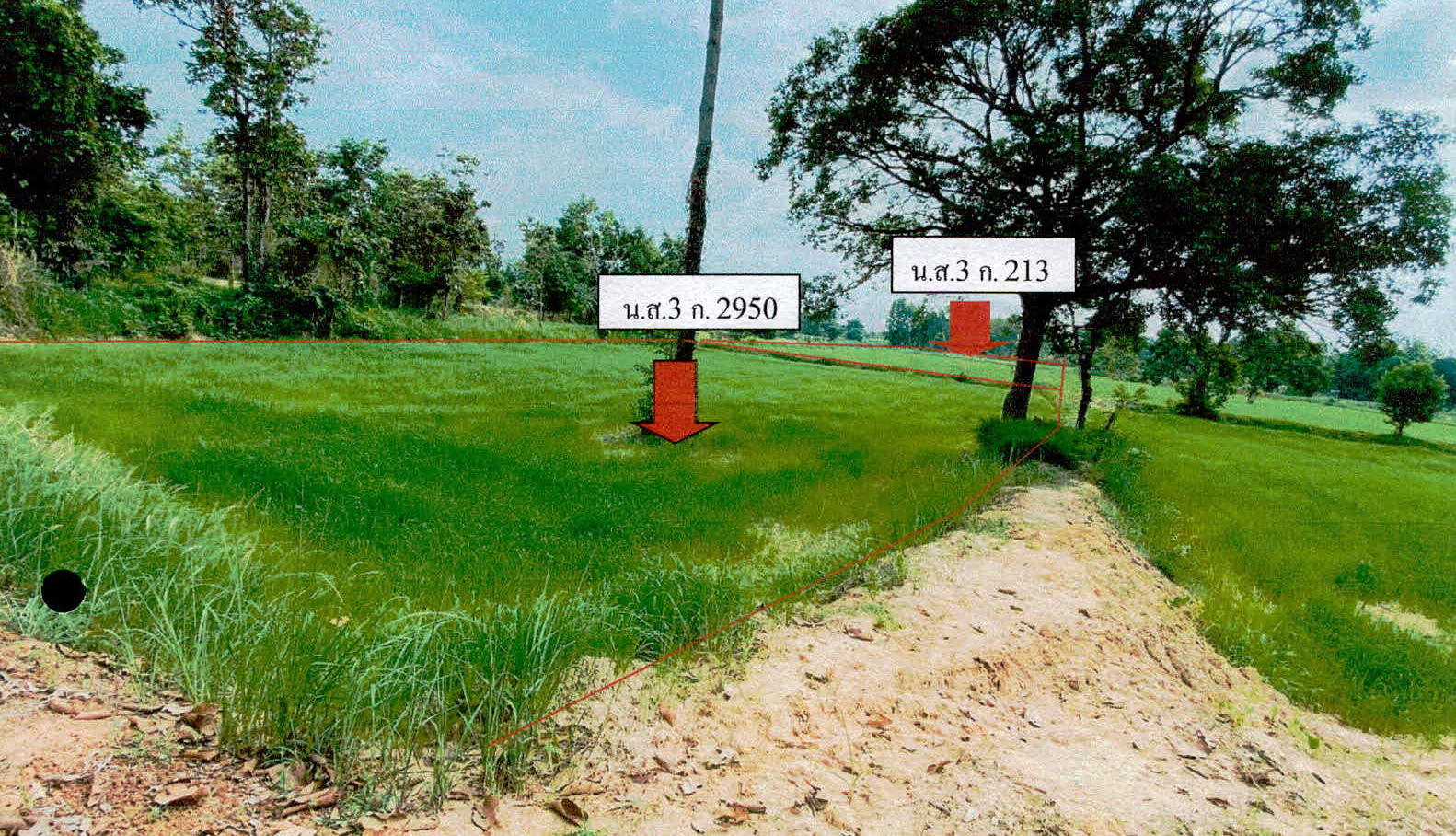 รูปที่ดินว่างเปล่า แมด ลืออำนาจ อำนาจเจริญ