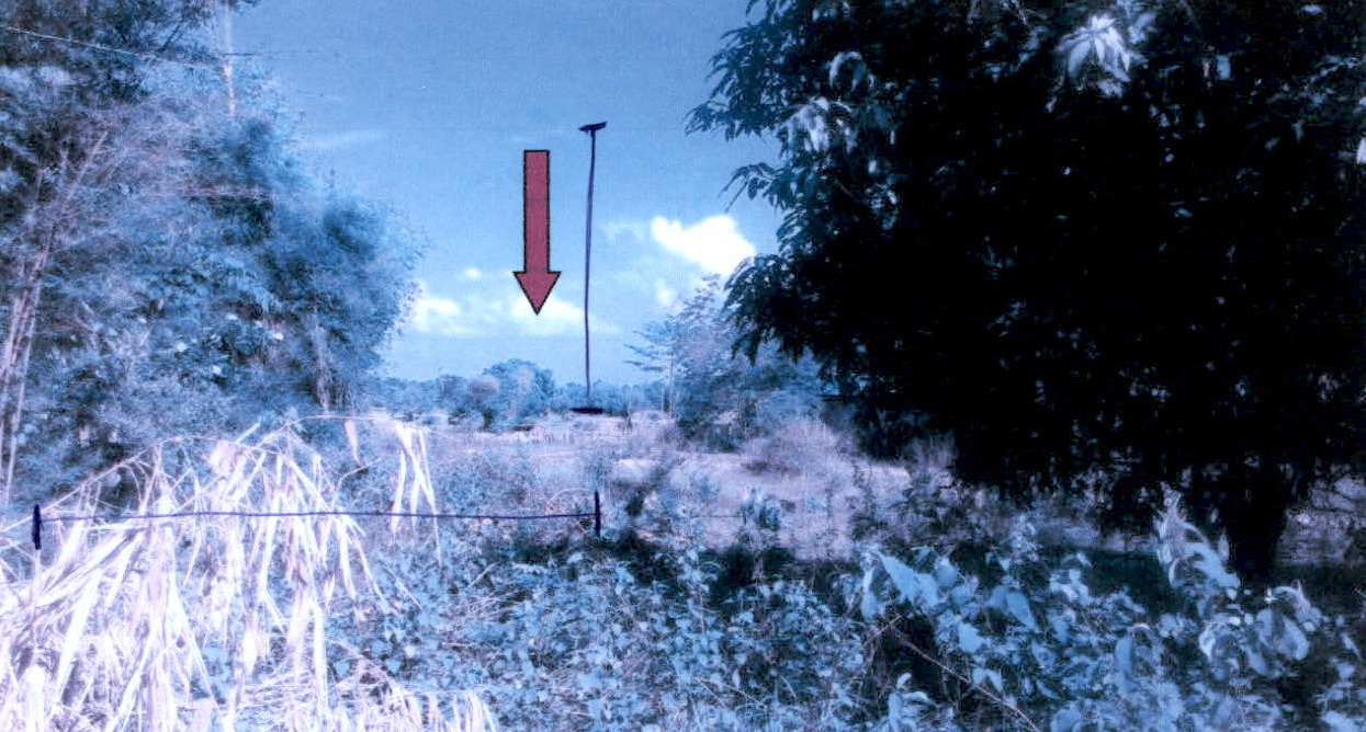 รูปที่ดินว่างเปล่า เรณู เรณูนคร นครพนม