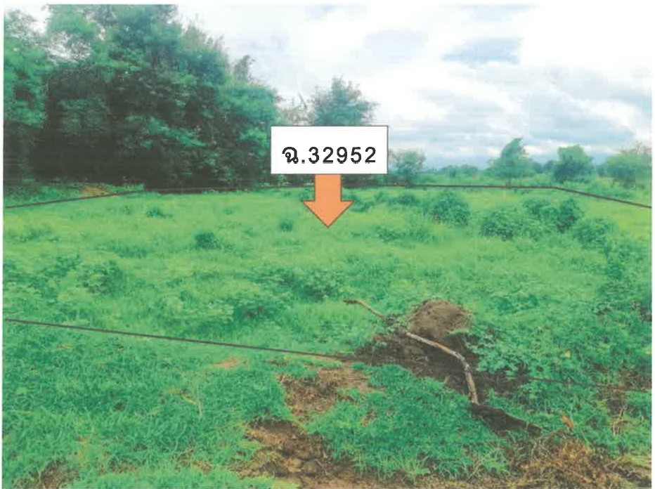 รูปที่ดินว่างเปล่า โป่งแดง เมืองตาก ตาก