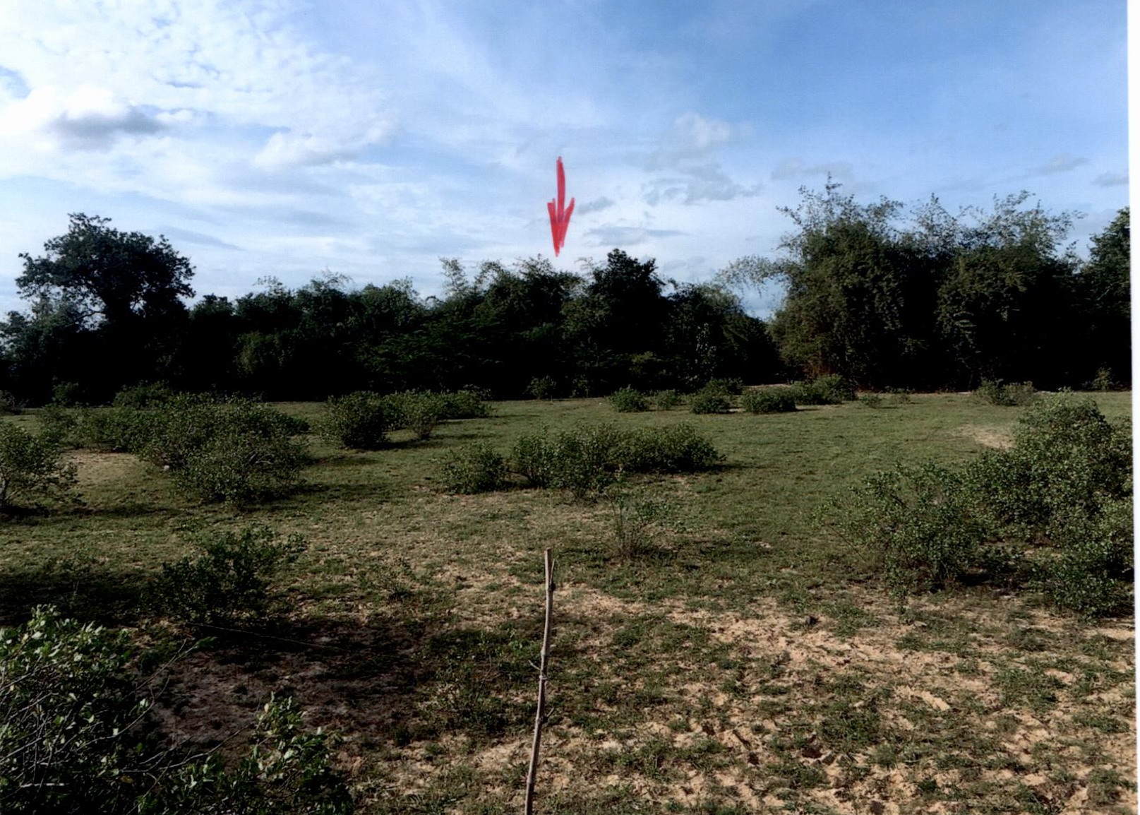 รูปที่ดินว่างเปล่า สามกระทาย กุยบุรี ประจวบคีรีขันธ์