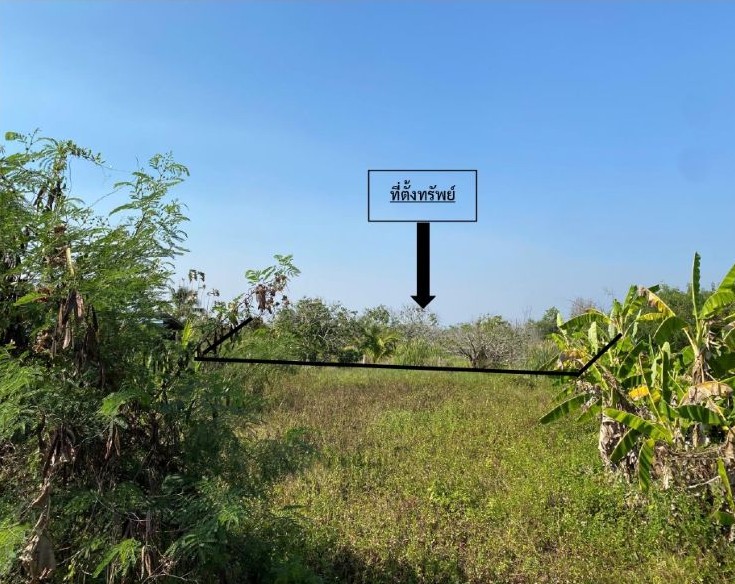 รูปที่ดินว่างเปล่า เหมืองง่า เมืองลำพูน ลำพูน