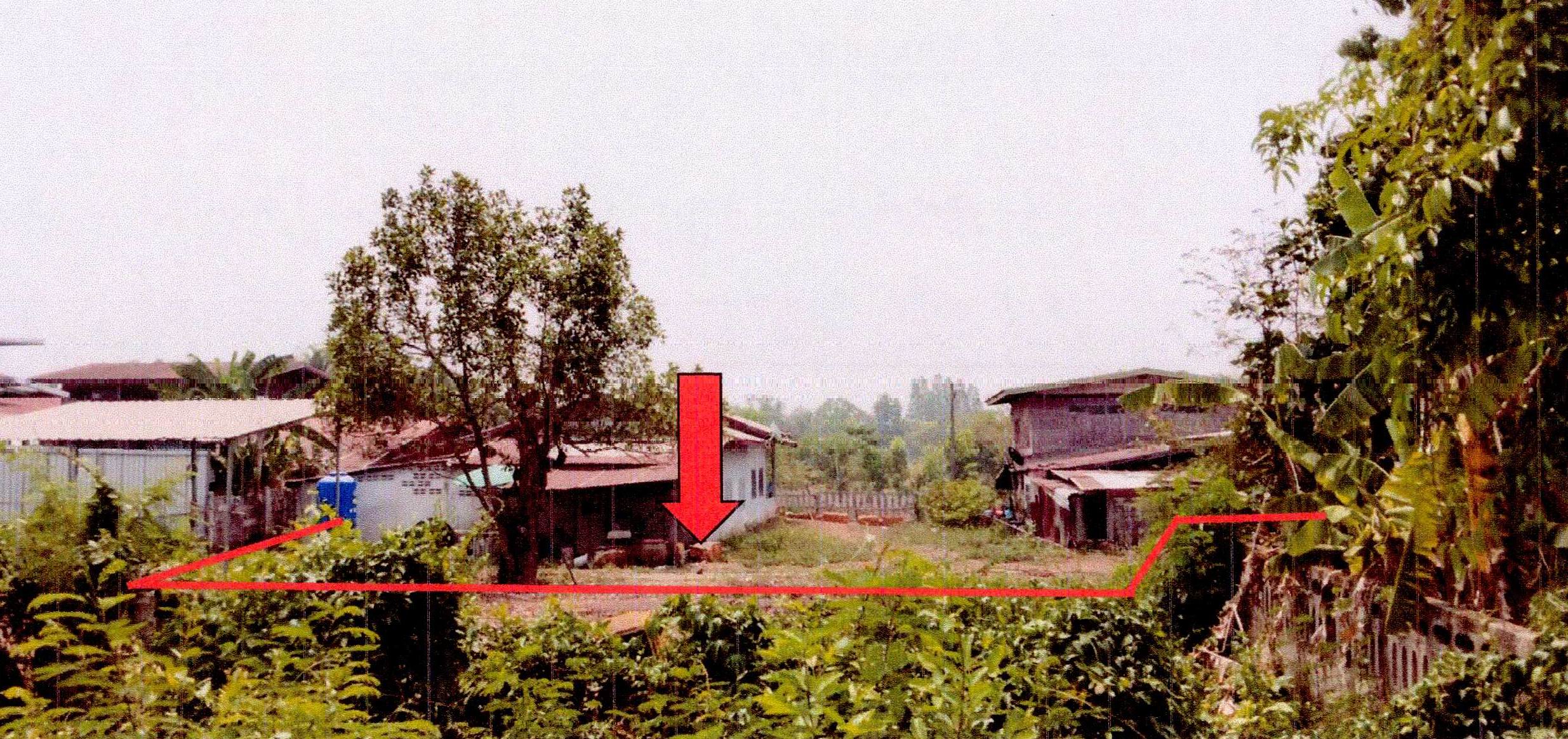 รูปที่ดินว่างเปล่า โคกคอน ท่าบ่อ หนองคาย