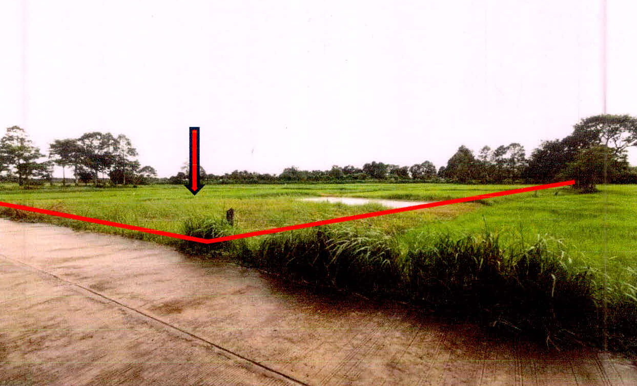 รูปที่ดินว่างเปล่า หัวเสือ ขุขันธ์ ศรีสะเกษ