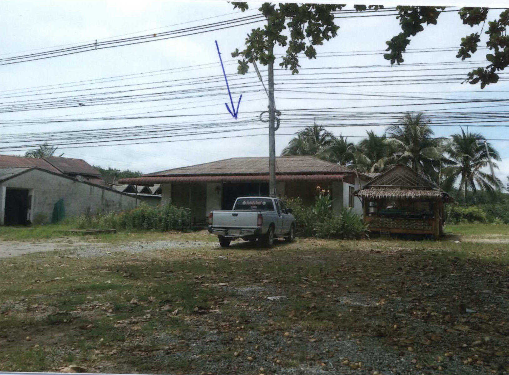 รูปที่ดินพร้อมสิ่งปลูกสร้าง พังกาญจน์ พนม สุราษฎร์ธานี