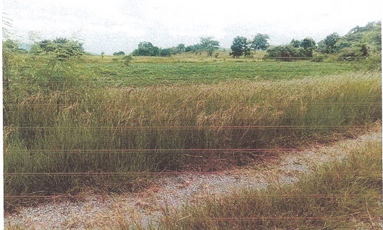 รูปที่ดินว่างเปล่า วังเพลิง(เพนียด) โคกสำโรง ลพบุรี
