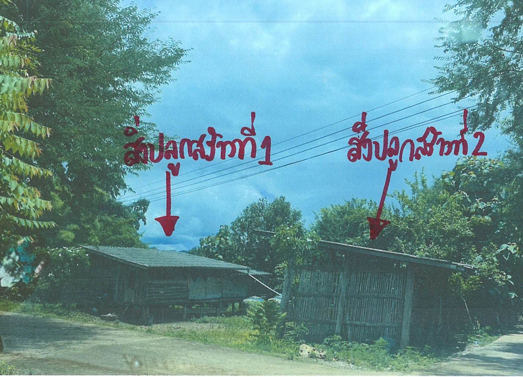 รูปที่ดินพร้อมสิ่งปลูกสร้าง ก้อ ลี้ ลำพูน