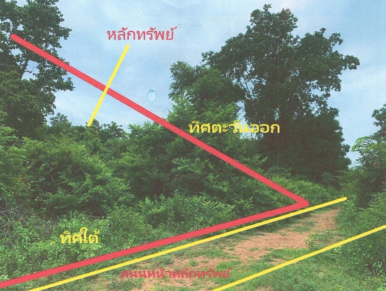 รูปที่ดินว่างเปล่า โนนทอง หนองเรือ ขอนแก่น