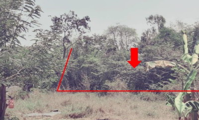 รูปที่ดินว่างเปล่า สะแกกรัง เมืองอุทัยธานี อุทัยธานี