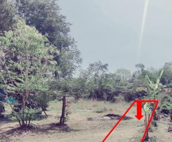 รูปที่ดินว่างเปล่า สะแกกรัง เมืองอุทัยธานี อุทัยธานี