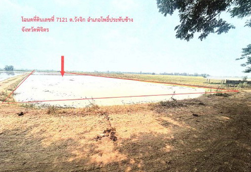 รูปที่ดินว่างเปล่า วังจิก โพธิ์ประทับช้าง พิจิตร