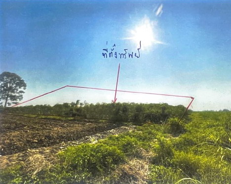 รูปที่ดินว่างเปล่า ดงเสือเหลือง โพธิ์ประทับช้าง พิจิตร