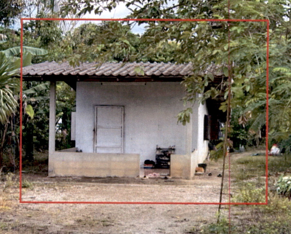รูปที่ดินพร้อมสิ่งปลูกสร้าง พังกาญจน์ พนม สุราษฎร์ธานี