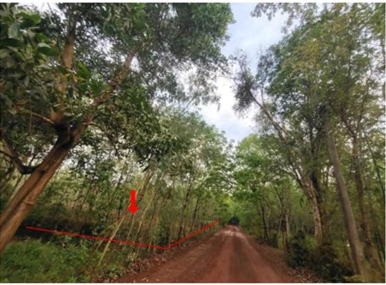 รูปที่ดินว่างเปล่า พิมาน นาแก นครพนม