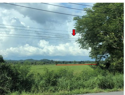 รูปที่ดินว่างเปล่า โกสัมพี โกสัมพีนคร กำแพงเพชร