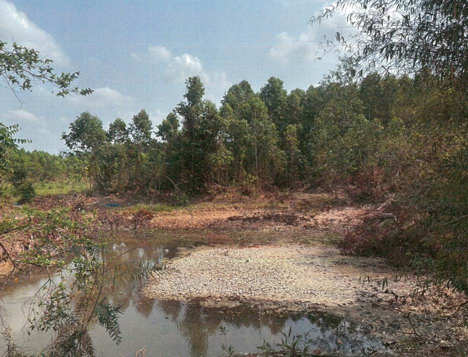 รูปที่ดินว่างเปล่า ศาลาลำดวน เมืองสระแก้ว สระแก้ว