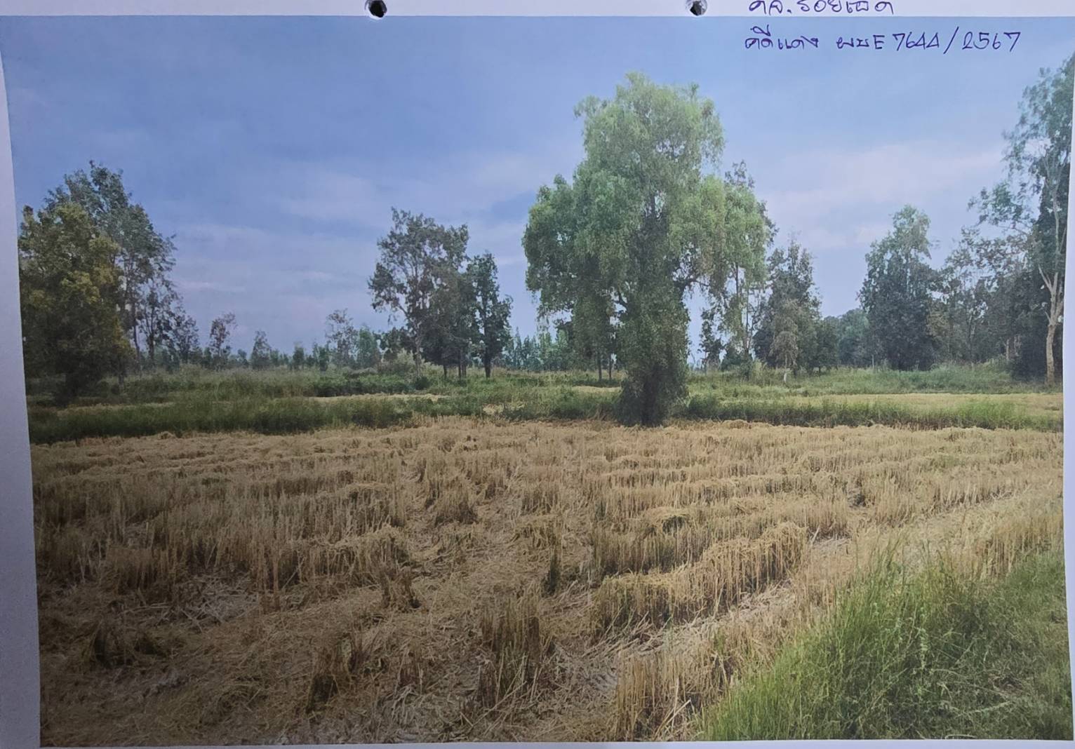 รูปที่ดินว่างเปล่า ซาง เซกา บึงกาฬ