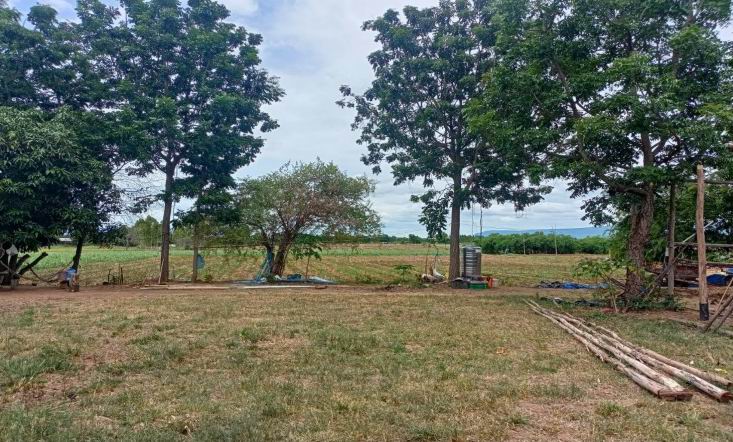 รูปที่ดินว่างเปล่า บ้านแก้ง ภูเขียว ชัยภูมิ