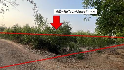 รูปที่ดินว่างเปล่า โนนแหลมทอง สหัสขันธ์ กาฬสินธุ์