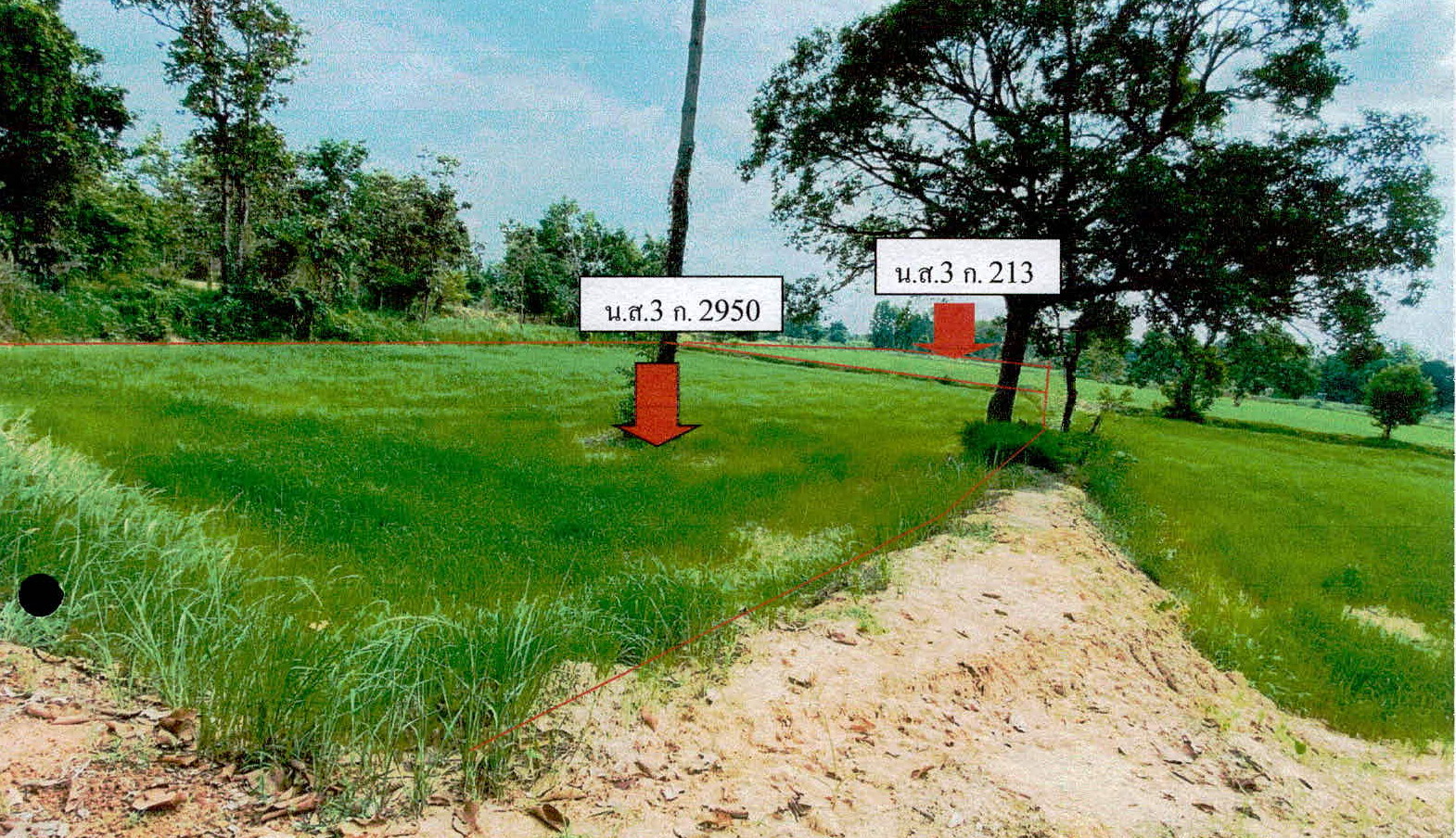 รูปที่ดินว่างเปล่า แมด ลืออำนาจ อำนาจเจริญ