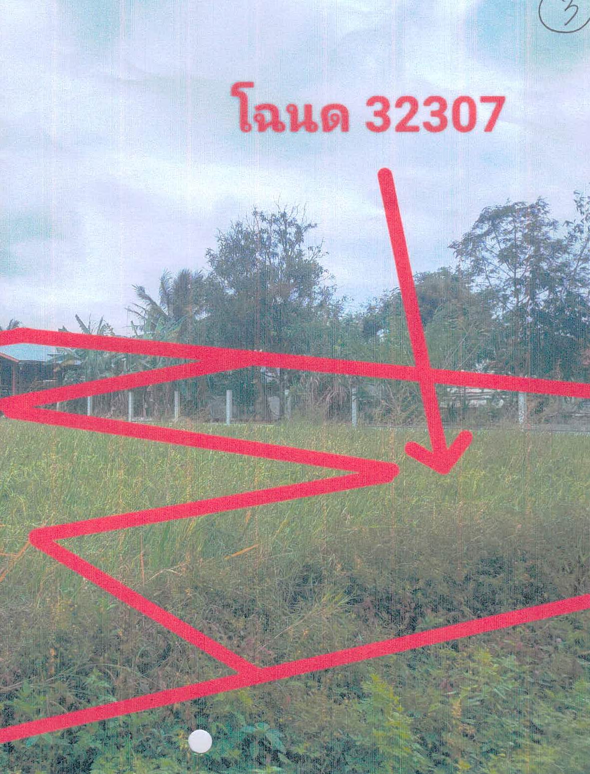 รูปที่ดินว่างเปล่า ไผ่ ราษีไศล ศรีสะเกษ