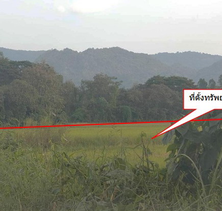 รูปที่ดินว่างเปล่า ระวิง เมืองเพชรบูรณ์ เพชรบูรณ์